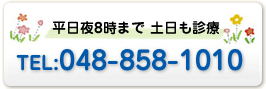 ご予約、ご相談はこちら 048(858)1010